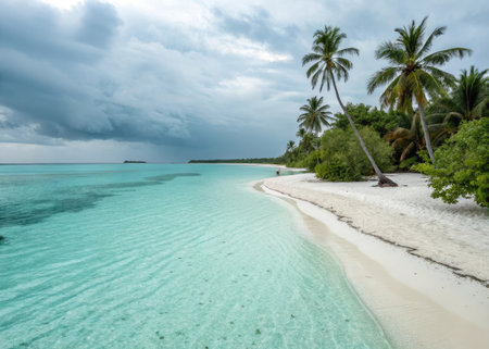 Tropical beach with palm trees and white sand, Maldivesの素材