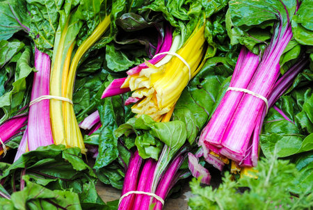 Bundles of fresh yellow and ruby swiss chard at local farmers marketの写真素材