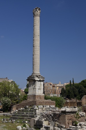 Column of Focaの写真素材