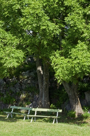  Empty benches in the parkの写真素材