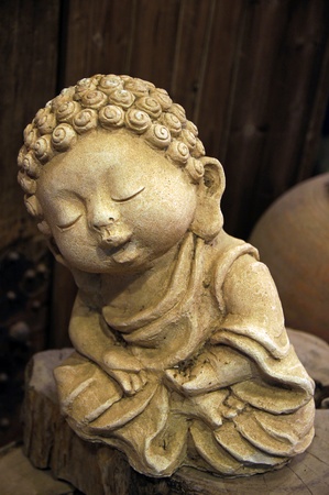 Peaceful Little Monkの写真素材