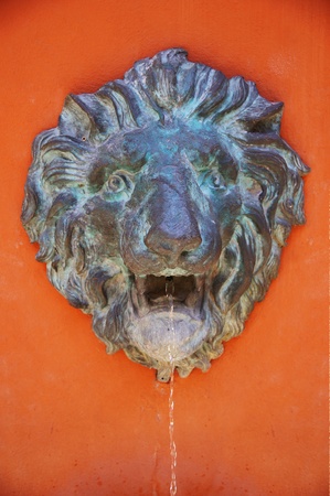 Stone lion headの写真素材