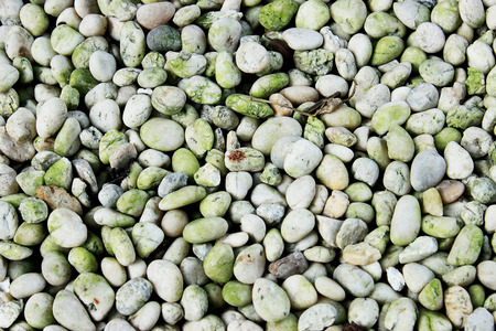 Gravelの写真素材