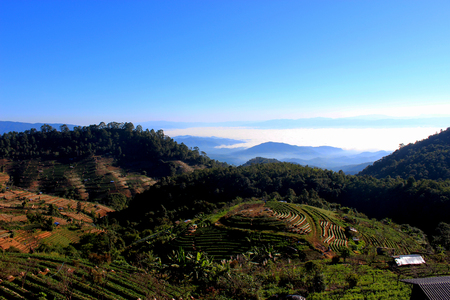 mountains. Point of view shot. Focus on natureの写真素材