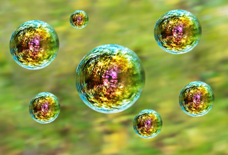 iridescent soap bubble on green forest background