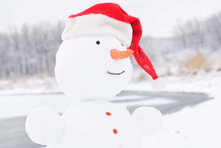 happy winter christmas snowman with carrot and eyesの写真素材