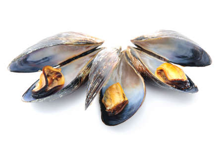 group of boiled mussels in shells isolated on white backgroundの写真素材