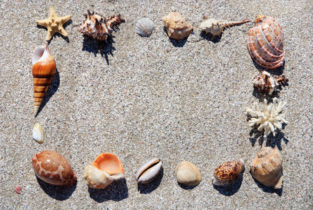 seashells framing on the beach sand background frameの写真素材