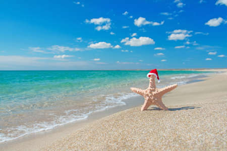 Sea-star in red santa hat at sea sandy beach. Holiday concept for New Years day and Christmas.の写真素材