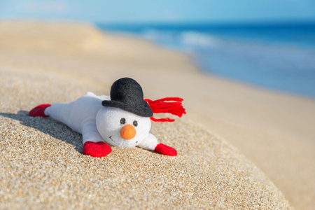 Smiley toy snowman at sea beach. Holiday concept for New Years and Christmas Cards.の写真素材
