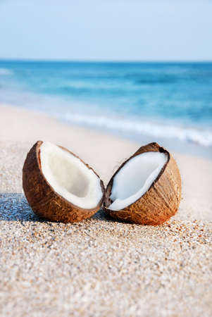 two halfs of coconut against sea at the sea sand beachの写真素材