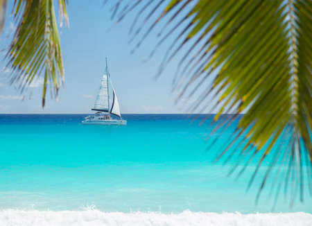 Tropical ocean beach with yacht and palm leaves. Anse Georgette, Praslin island, Seychelles - vacation backgroundの写真素材