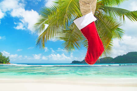 Christmas sock on palm tree at exotic tropical beach. Holiday concept for New Years Cardsの写真素材