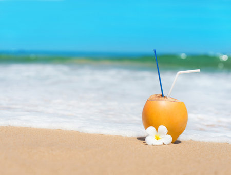 coconut against waves at the ocean tropical sandy beachの写真素材