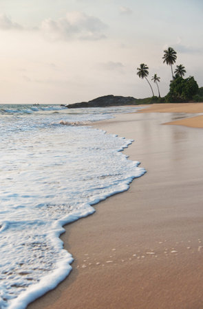 tropical ocean beach waves against rock and palms at sunset time