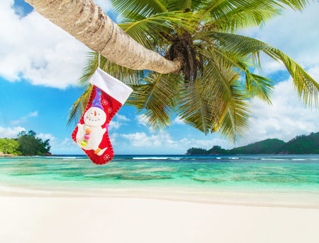 Christmas sock on palm tree at exotic tropical beach. Holiday concept for New Years Cards