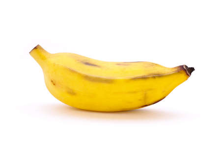 Cultivated banana on white backgroundの写真素材