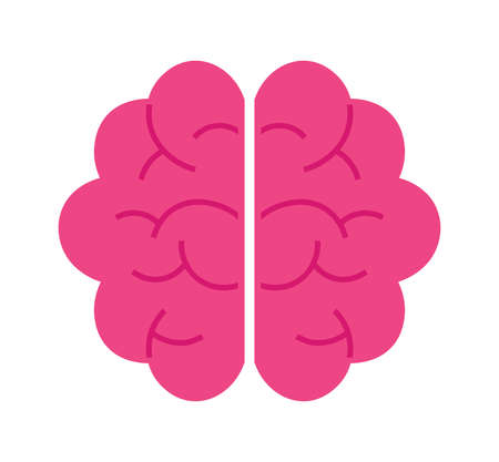 Human brain vector illustration in flat color.のイラスト素材