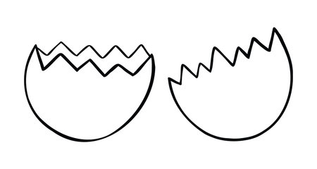 Cartoon vector illustration of broken eggshell. Black outlined and white colored.