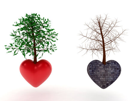 Heart tree stone and love の写真素材