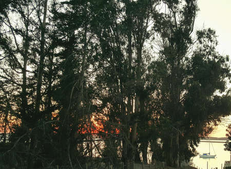 Morro Bay sunsetの素材