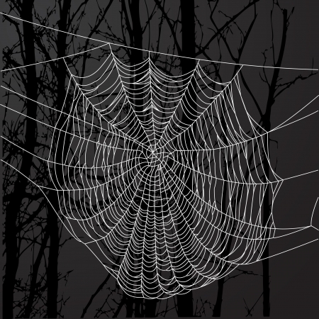 Realistic spider web over black background with tree.のイラスト素材