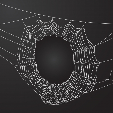 Spider web frameのイラスト素材
