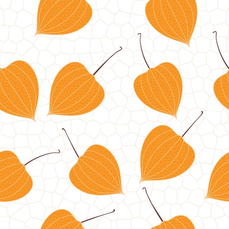 Physalis, retro seamless backgroundのイラスト素材