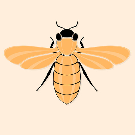 Background with stylized bee.のイラスト素材