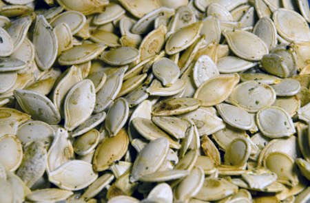 Pumpkin Seeds Close Upの写真素材