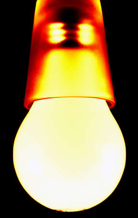 A picture of a orange-yellow colored bulb in a shot glassの写真素材