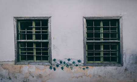 Two windows with bars with art paint.