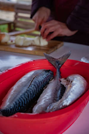 Uncooked mackerels in a plastic bowl. With chef in the backgrapund slicing onions.の写真素材