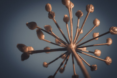 macro shot of a bunch of garlic with filter effect retro vintage styleの写真素材