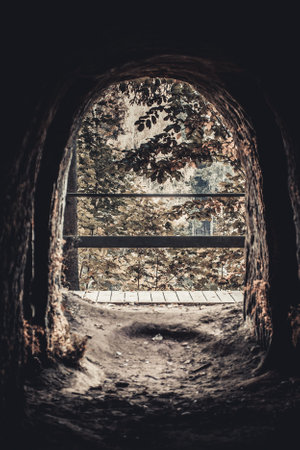 Old tunnel in the forest. Autumn landscape. Toned photo.の写真素材