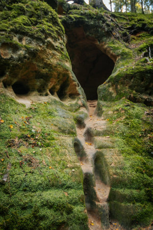Cave in the forest. The entrance to the cave. Rock climbing.の写真素材