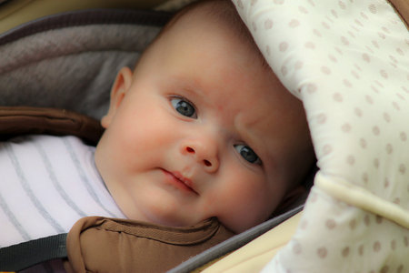Portrait of a cute baby in a stroller, close-upの写真素材