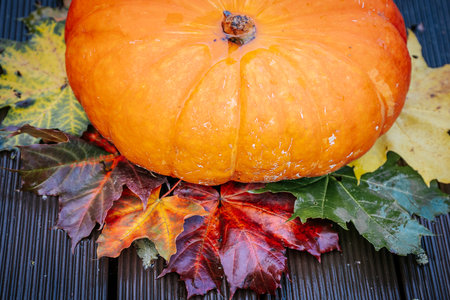 pumpkin and autumn leaves on wooden table, close up, autumn backgroundの写真素材