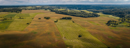 Aerial view of the summer fields and forests. Countryside landscape.
