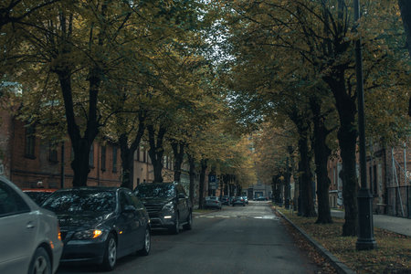 Autumnal view of the street in St. Petersburg, Russiaの写真素材