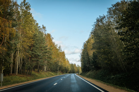 Asphalt road through the forest in autumn. Beautiful nature landscape.の写真素材