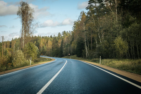 Asphalt road in the forest. Summer landscape. Road trip.の写真素材