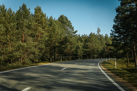 Empty asphalt road through the pine forest on a sunny summer day.の写真素材