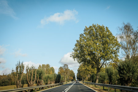 Asphalt road in the countryside with trees and blue sky background.の写真素材