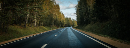 Panoramic view of the asphalt road through the autumn forest.の写真素材