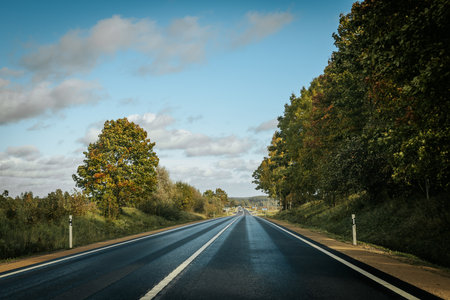 Country road in the autumn season. View from the road to the horizon.