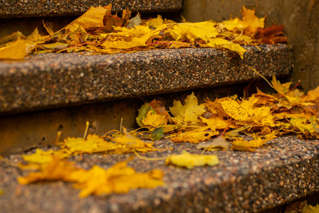 Autumn leaves on the stairs. Yellow leaves on the stairs.