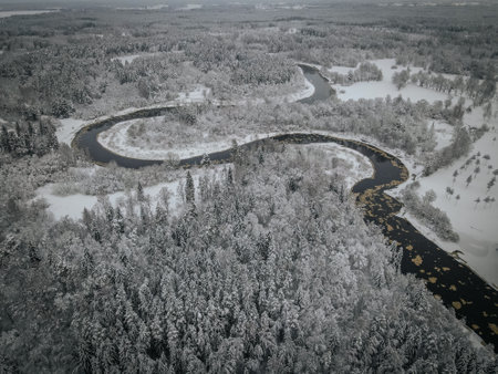 Aerial view of the river in the winter forest. Top view. River Gaujaの写真素材