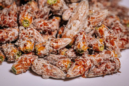 Pine buds healthy diet. A pile of pine budsの写真素材