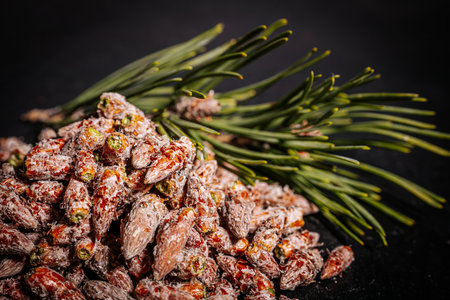 Pine buds healthy diet. A pile of pine budsの写真素材